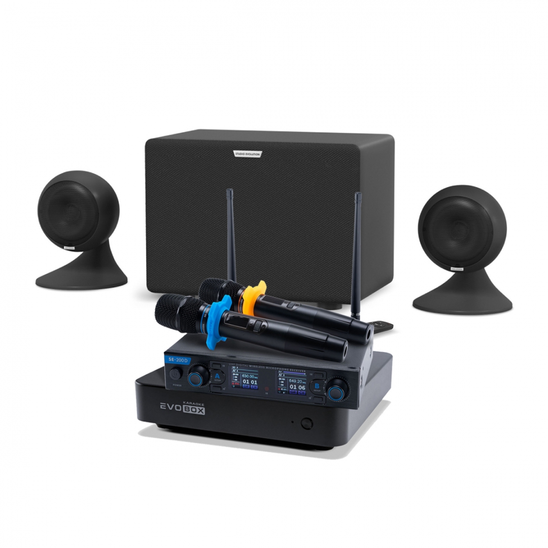 караоке-комплект EVOBOX + EvoSound Sphere 2.1 в Щелково
