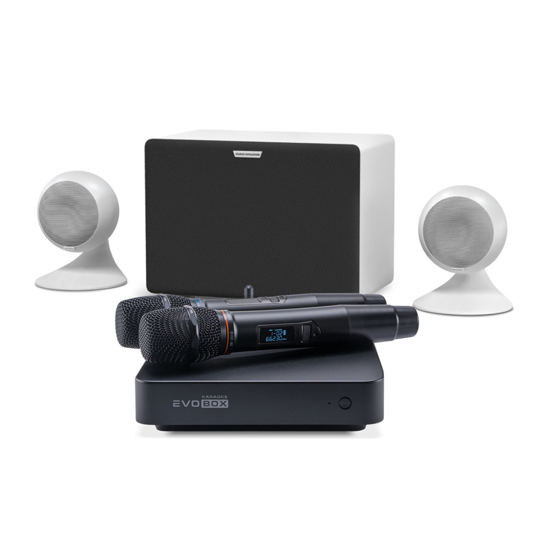 караоке-комплект EVOBOX Classic + EvoSound Sphere 2.1 в Щелково