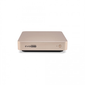 EVOBOX с микрофонами в Щелково